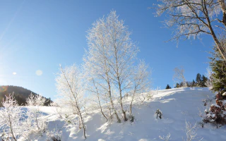 Schätze des Waldviertels - Groß Gerungs nachhaltig wachsen lassen